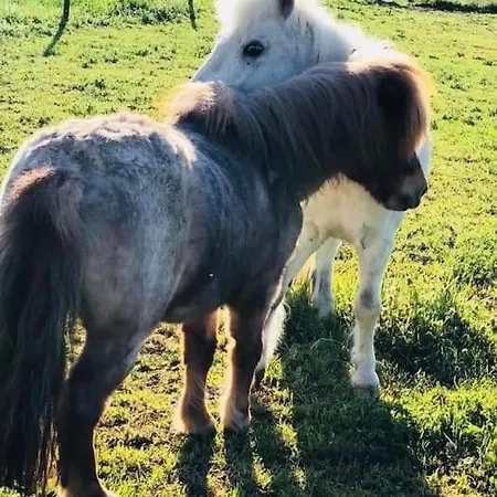 Beausoleil L-geneva & & Mountains-wilena Home, Full *