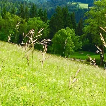 Beausoleil L-geneva & & Mountains-wilena Home, Full Chens-sur-Leman