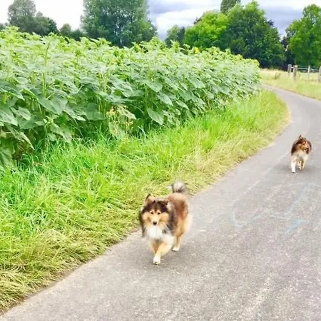 Villa Beausoleil L-geneva & & Mountains-wilena Home, Full